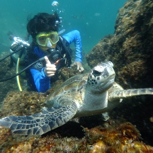 Дайвинг в Фуджейре (БЕЗ ТРАНСФЕРА)