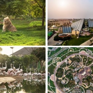 ДУБАЙ САФАРИ ПАРК (ЗООПАРК)