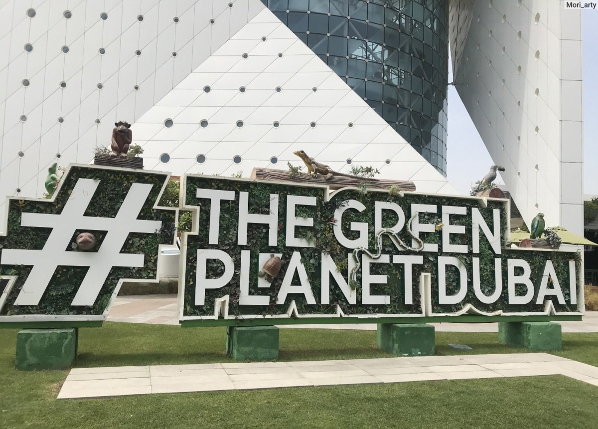 Дубай номер 1. Посещение The Green Planet+ Колесо обозрения+Вечерний круиз по Dubai Marina
